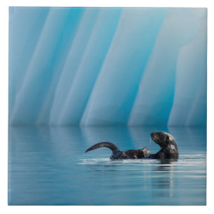 Meeresrauscher Fliese