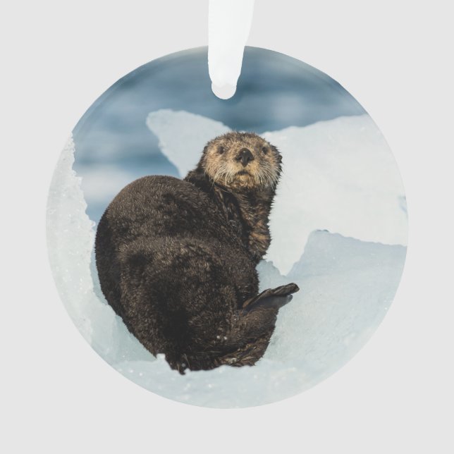 Meeresrauscher Ornament (Vorderseite)