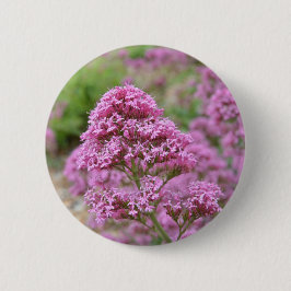 Meeresrosa Button