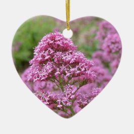 Meeresrosa Keramikornament
