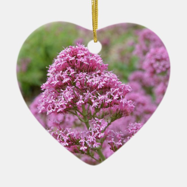 Meeresrosa Keramikornament (Vorne)