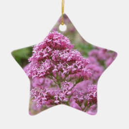 Meeresrosa Keramikornament