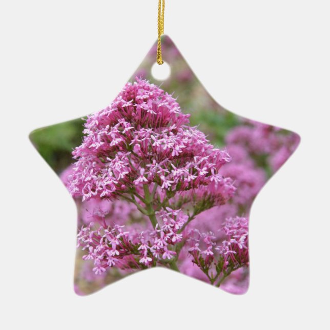 Meeresrosa Keramikornament (Vorne)