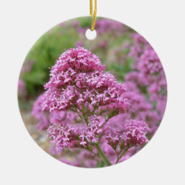 Meeresrosa Keramikornament