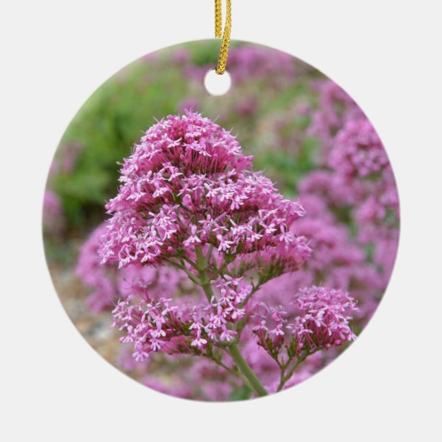 Meeresrosa Keramikornament (Vorne)