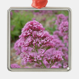 Meeresrosa Silbernes Ornament