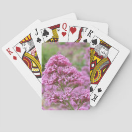 Meeresrosa Spielkarten
