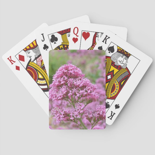 Meeresrosa Spielkarten (Rückseite)