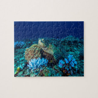 Meeresschildkröte auf dem Great Barrier Reef Puzzle