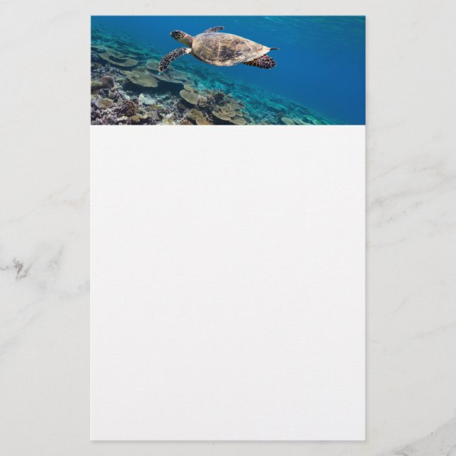 Meeresschildkröte Briefpapier (Vorderseite)