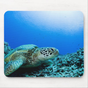 Meeresschildkröte, die underwater stillsteht mousepad