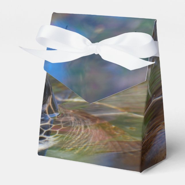Meeresschildkröte Geschenkschachtel (Vorderseite)