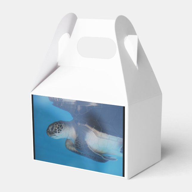Meeresschildkröte Geschenkschachtel (Vorderseite)