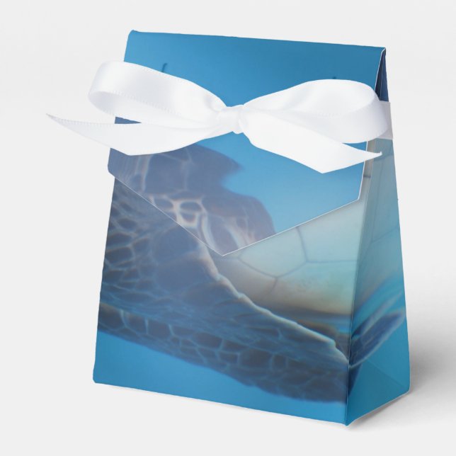 Meeresschildkröte Geschenkschachtel (Vorderseite)