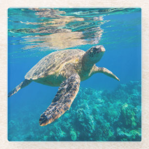 Meeresschildkröte Glasuntersetzer