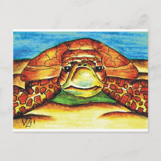 Meeresschildkröte Postkarte