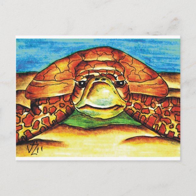 Meeresschildkröte Postkarte (Vorderseite)