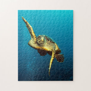 Meeresschildkröte schwimmt unter Wasser Puzzle