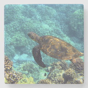 Meeresschildkröte Steinuntersetzer