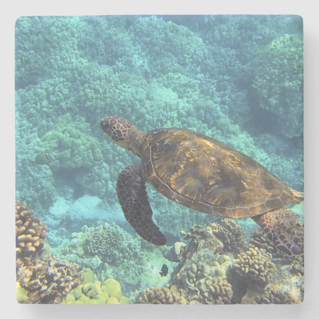 Meeresschildkröte Steinuntersetzer (Vorderseite)