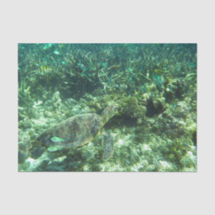 Meeresschildkröte, tropische Fische und Korallen Seidenpapier