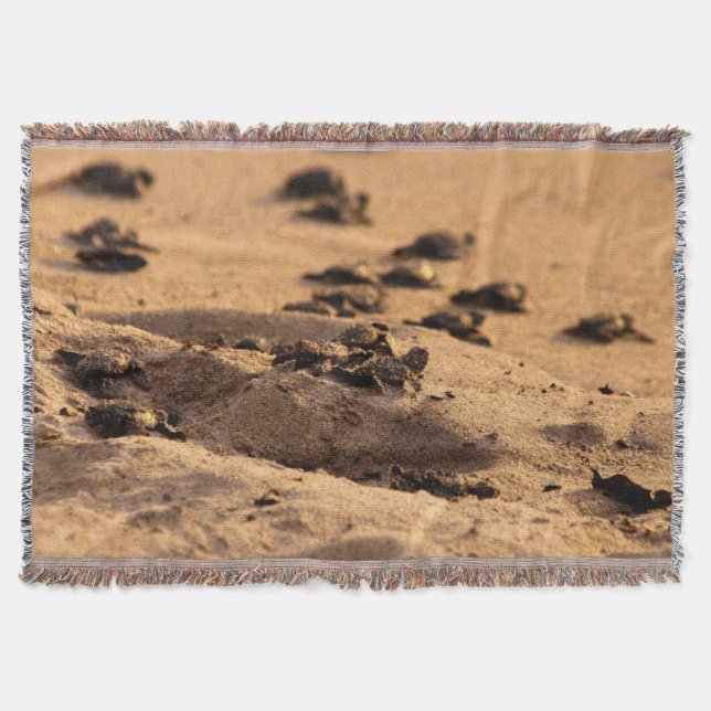 Meeresschildkröten Decke (Vorderseite)