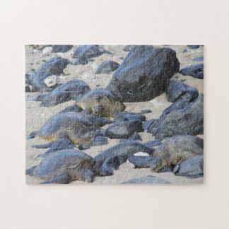 Meeresschildkröten in Maui Puzzle