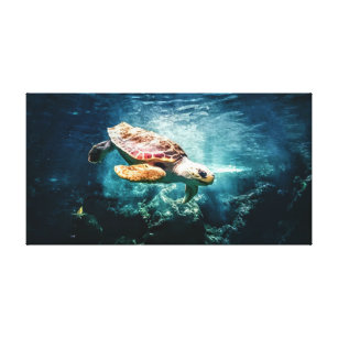 Meeresschildkröten-Loggerhead-Ozean Leinwanddruck