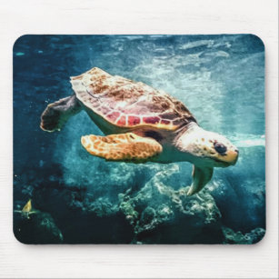 Meeresschildkröten-Loggerhead-Ozean Mousepad