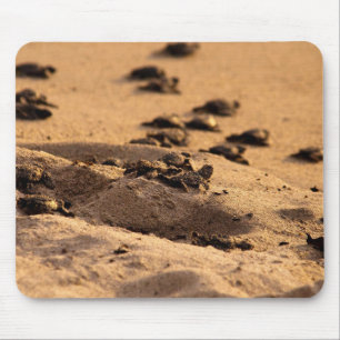 Meeresschildkröten Mousepad