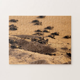 Meeresschildkröten Puzzle