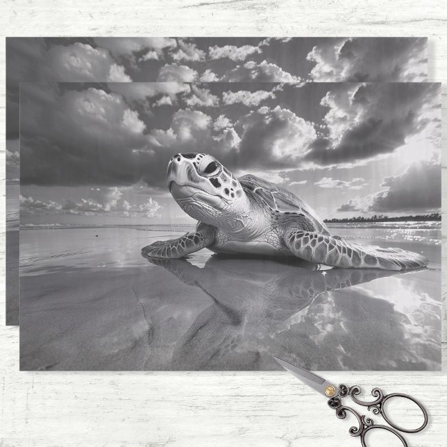 Meeresschildkröten-Schwarz-Weiß-Decoupage Seidenpapier (Von Creator hochgeladen)