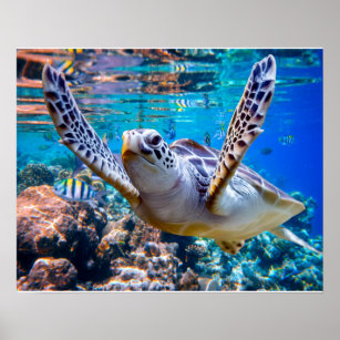 Meeresschildkröten schwimmen über dem Korallenriff Poster