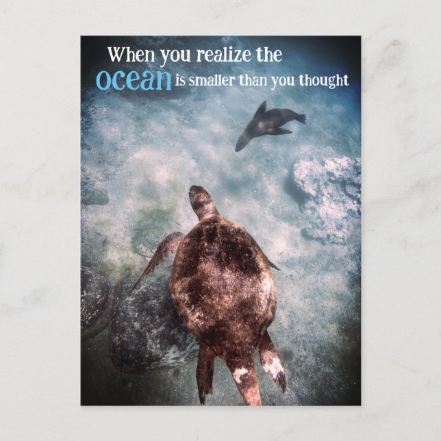 Meeresschildkröten und Seelöwen unter Wasser Feiertagspostkarte (Vorderseite)