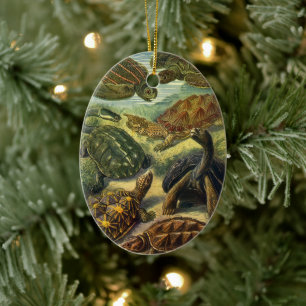 Meeresschildkröten Vintage Landschildkröte von Ern Keramikornament