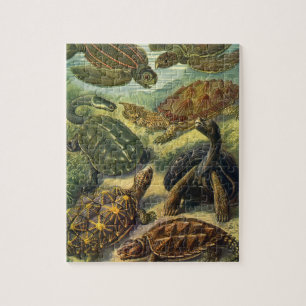 Meeresschildkröten Vintage Landschildkröte von Ern Puzzle