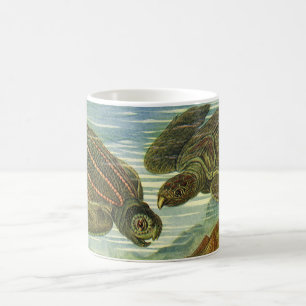 Meeresschildkröten Vintage-Landschildkröte von Ern Tasse