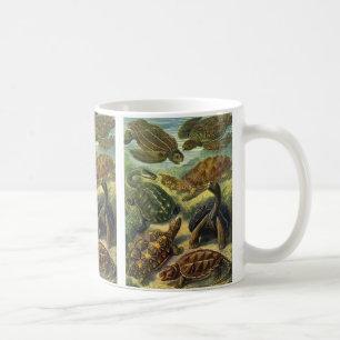 Meeresschildkröten Vintage Landschildkröte von Ern Tasse