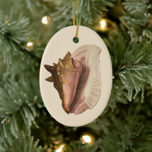 Meeresschnecke Königin Tritonschnecke Muschel, Vin Keramikornament
