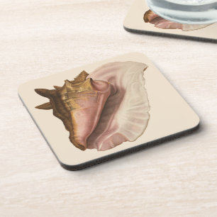 Meeresschnecke Königin Tritonschnecke Vintage Meer Getränkeuntersetzer