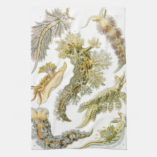 Meeresschnecken, Schnecken von Ernst Haeckel, Vint Geschirrtuch