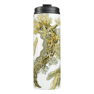 Meeresschnecken von Ernst Haeckel, Vintage Nudibra Thermosbecher