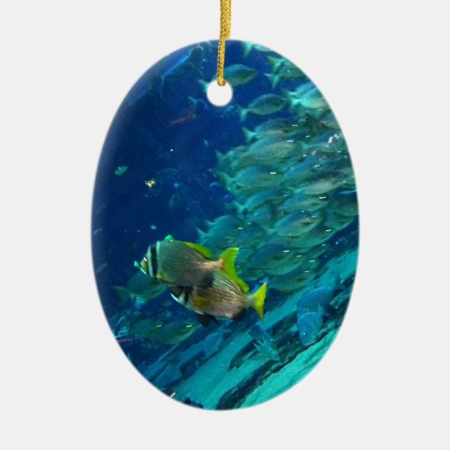 Meeresschule des Blauen Ozeans Keramik Ornament (Vorne)