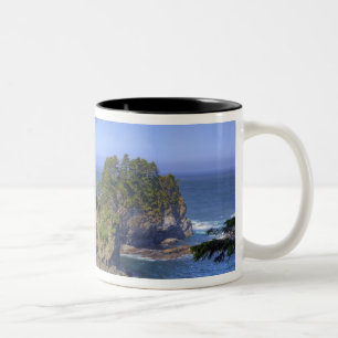 Meeresstapel, Makah Nation Stammesland, Kap Zweifarbige Tasse
