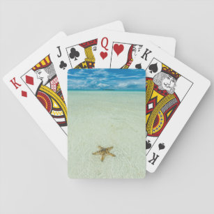 Meerestern in flachem Wasser, Palau Spielkarten