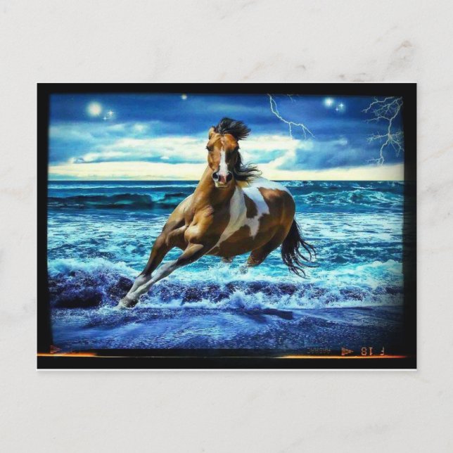 Meerestier Postkarte (Vorderseite)