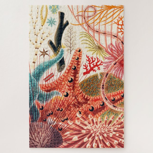 Meerestiere des Great Barrier Reef Echinoderme Puzzle (Vertikal)