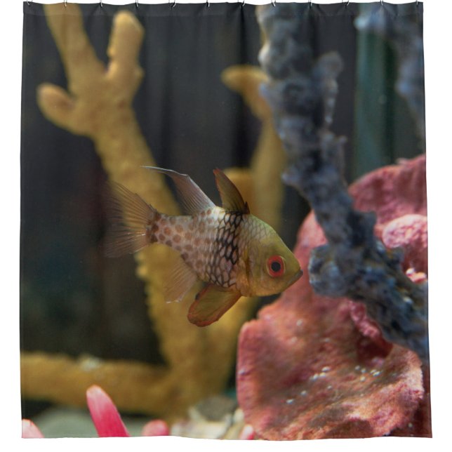 Meerestiere Duschvorhang (Vorderseite)