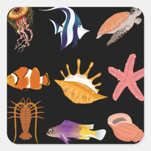 Meerestiere: Fische, Schildkröten, Muscheln, Quall Quadratischer Aufkleber