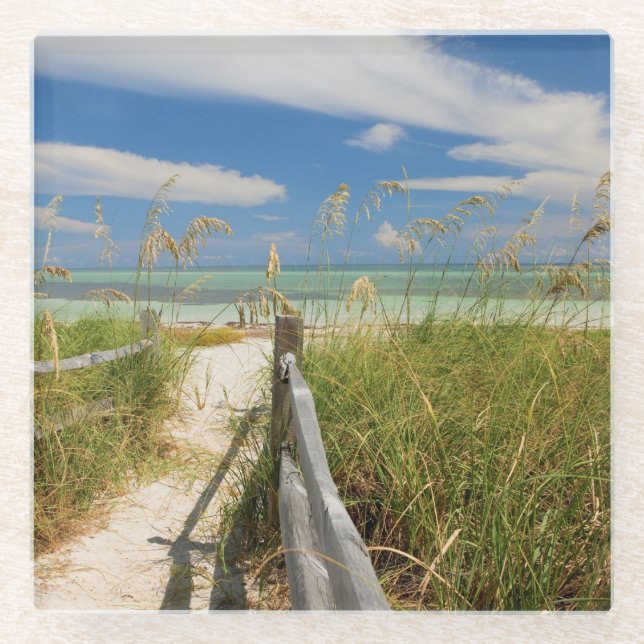 Meerestiere (Uniola paniculata), die am Strand ang Glasuntersetzer (Vorderseite)